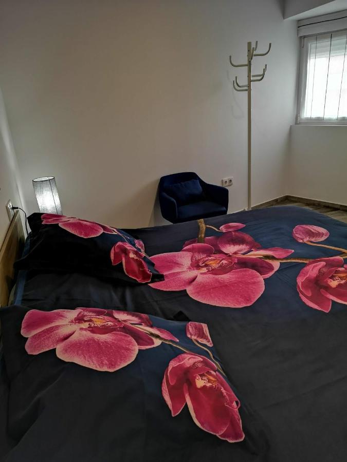 Apartamento Ibanez Μπένιντορμ Εξωτερικό φωτογραφία